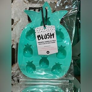 Blush Pineapple Silicone Ice Mold in Teal, new!
